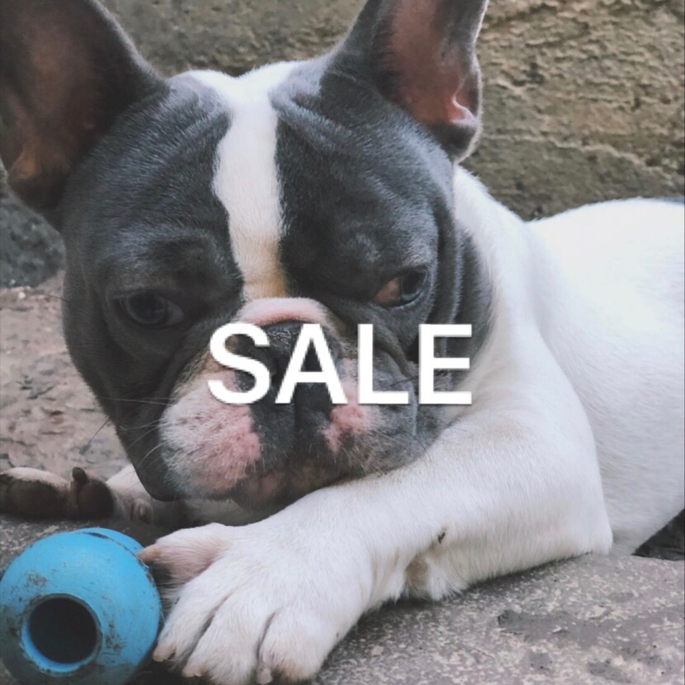 💥💥  SALE 💥💥🤩